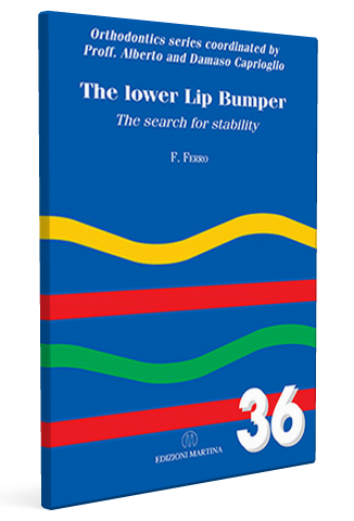 LOWER-LIP-BUMPER
